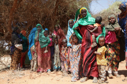 UJETA Help! Somaliland