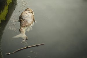 UJETA Wasseraufbereitung