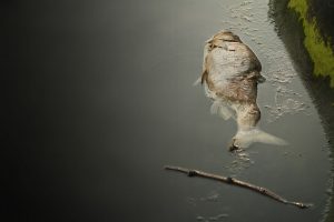 UJETA Trinkwasseraufbereitung