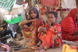 UJETA Help! Somaliland